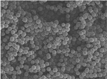 酚醛树脂微球SCL-PF系列